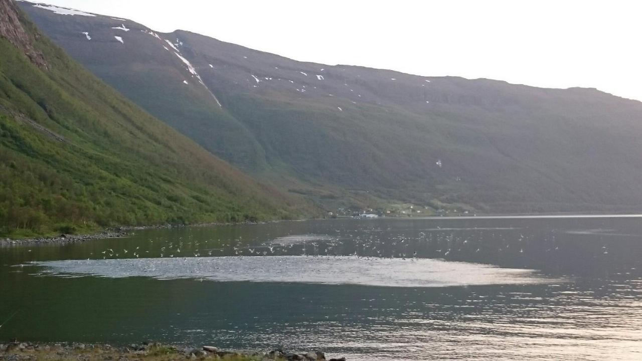 Basecamp Birtavarre Exteriör bild